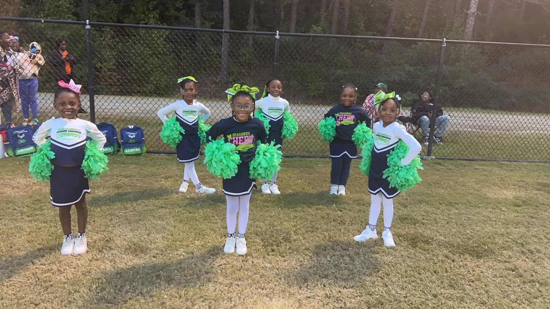 Cheerleading Fees